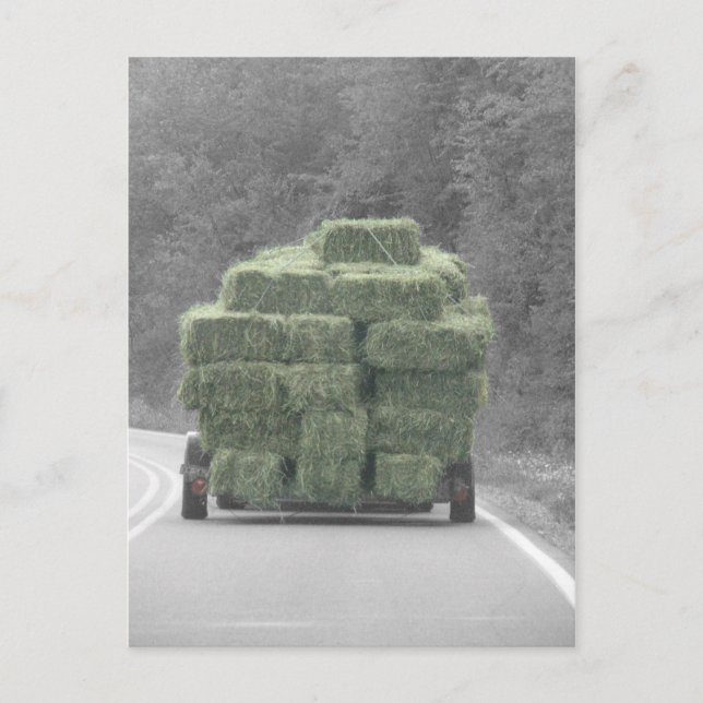 Hay da! postkarte (Vorderseite)