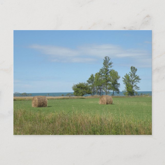 Hay Field Postcard Postkarte (Vorderseite)