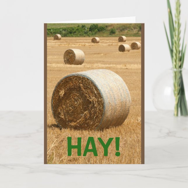 HAY! Happy Birthday Karte (Vorderseite)