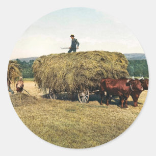Hay in New England - Vintag 1900 Runder Aufkleber