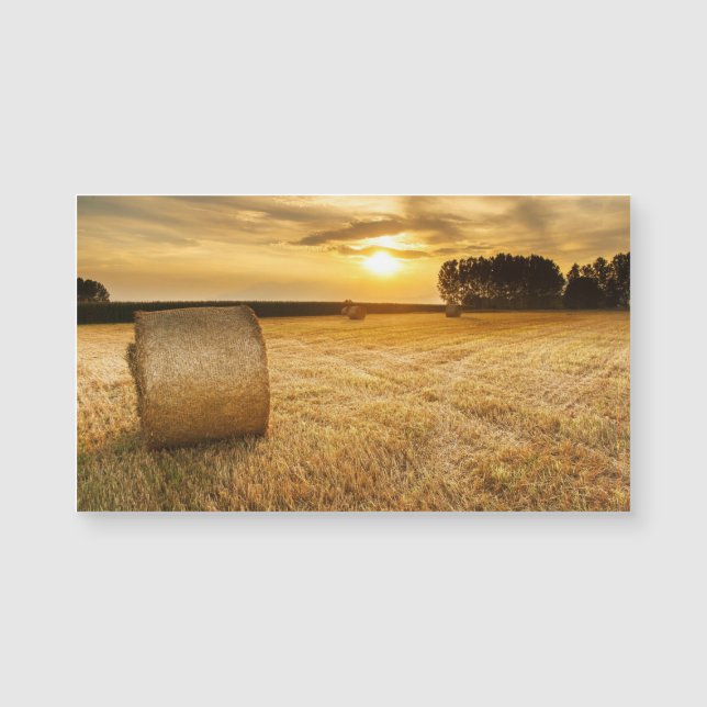 Hay Magnetkarte (Vorderseite)