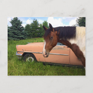 Hay! Postkarte
