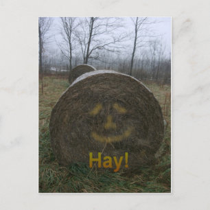 Hay! Postkarte
