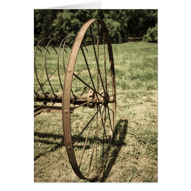 Hay Rake Wheels (Vorne)