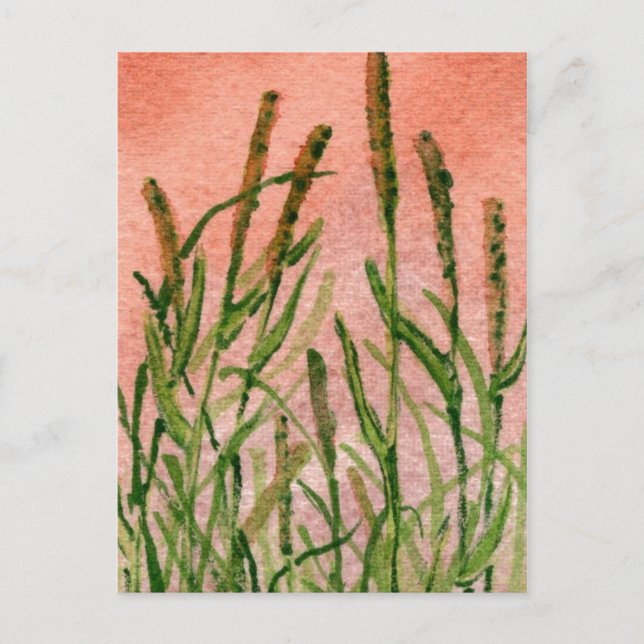 "Hay Someday" Landstraßen Postkarte (Vorderseite)