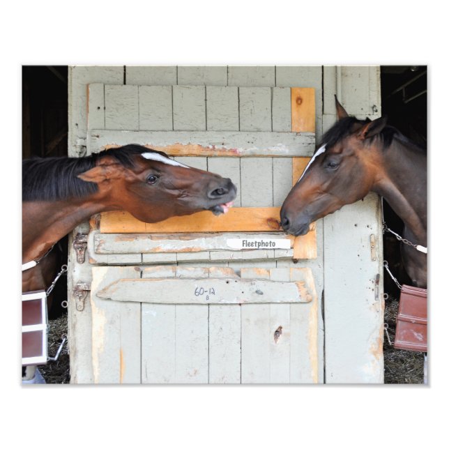 Hay There!! Fotodruck (Vorne)