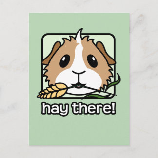 Hay There! (Guinea Pig) Postkarte