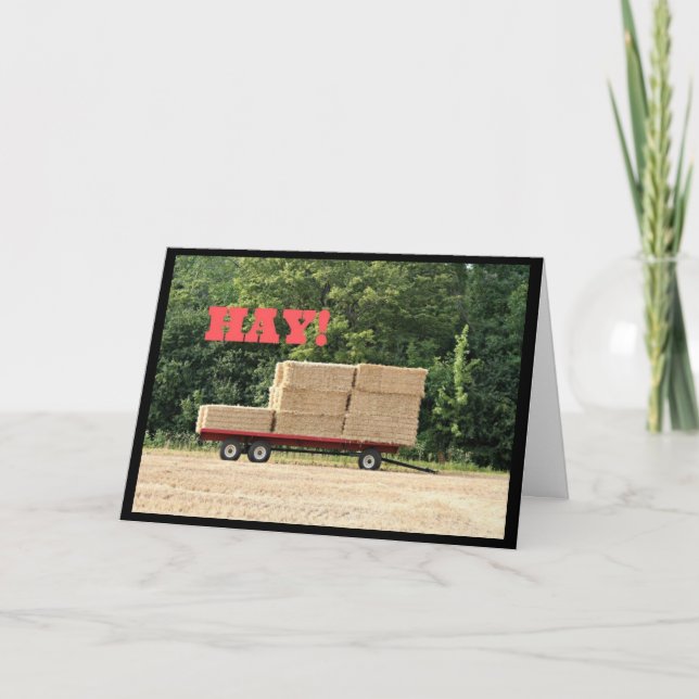 Hay! Wie war Ya? Grußkarte Karte (Vorderseite)