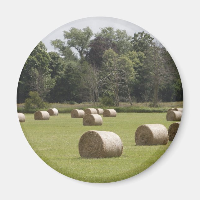 Haybales Magnet (Vorne)