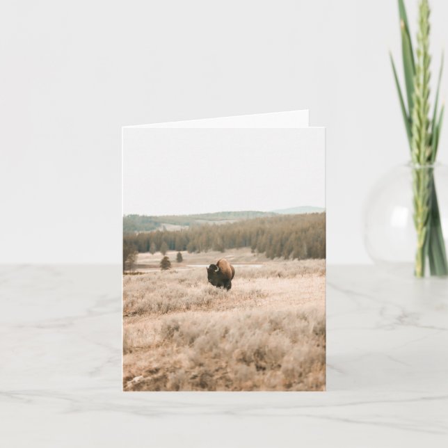 Hayden Valley -- 4" x 5.6" Notecard Karte (Vorderseite)