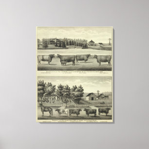 Hayes, Olathe und Ellis Wohnsitz und Bauernhof Leinwanddruck