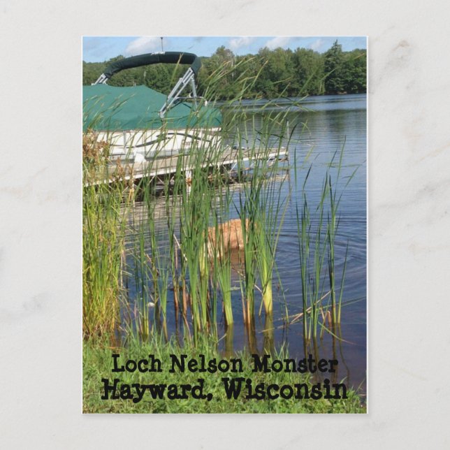 Hayward, Wisconsin Postcard Postkarte (Vorderseite)