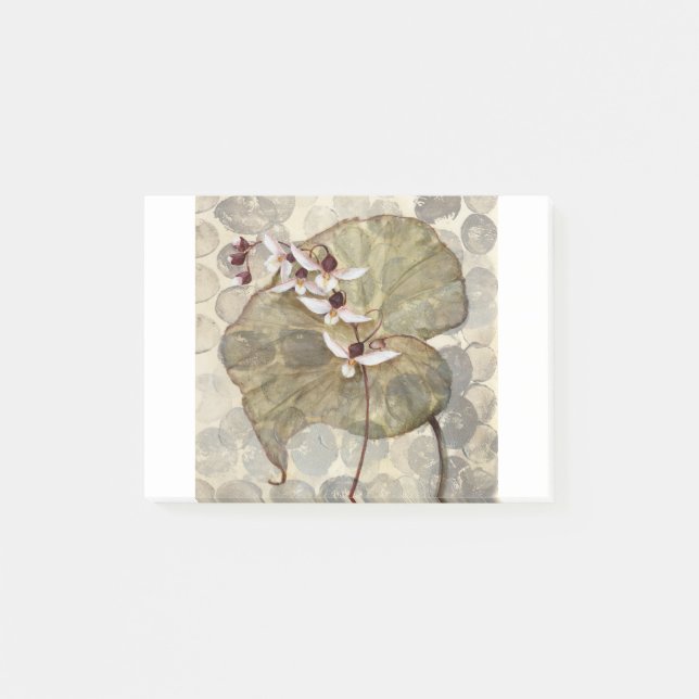 HAZ24 Amazonas-Gebiet 2.tif Post-it Klebezettel (Vorderseite)