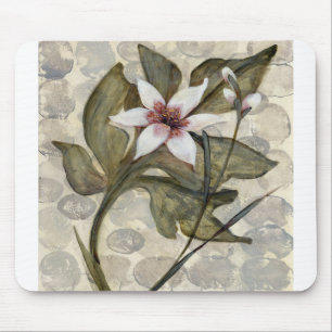 HAZ26 Amazonas-Gebiet 4.tif Mousepad