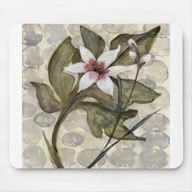 HAZ26 Amazonas-Gebiet 4.tif Mousepad (Vorne)