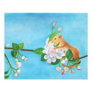 Hazel Dormouse auf einem blühenden Zweig Fotodruck