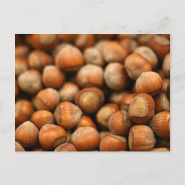 Hazelnut Galore Postkarte (Vorderseite)