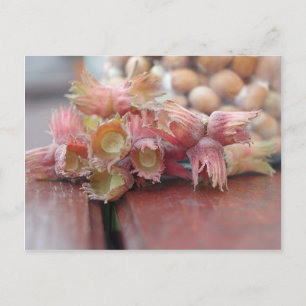 Hazelnuts.JPG Postkarte
