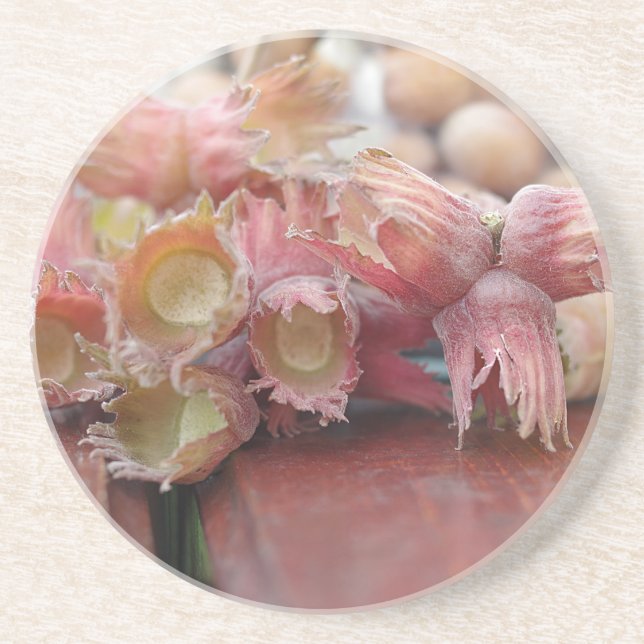 Hazelnuts.JPG Sandstein Untersetzer (Vorne)