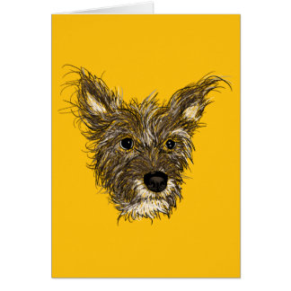 haziehunde