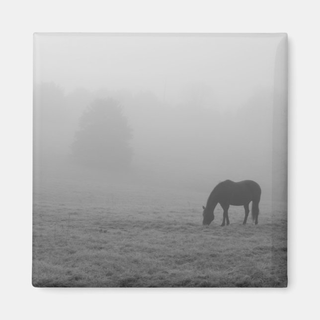 Hazzy Grazing Grayscale Magnet (Vorne)