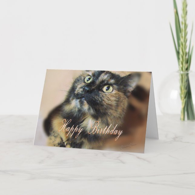 HBD-Tazzie 9055 Karte (Vorderseite)