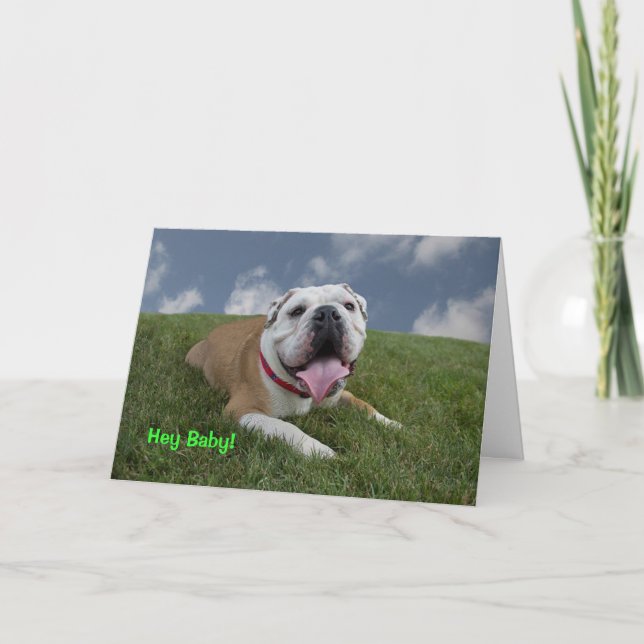 Hé bébé !  Carte d'anniversaire de bouledogue (Devant)