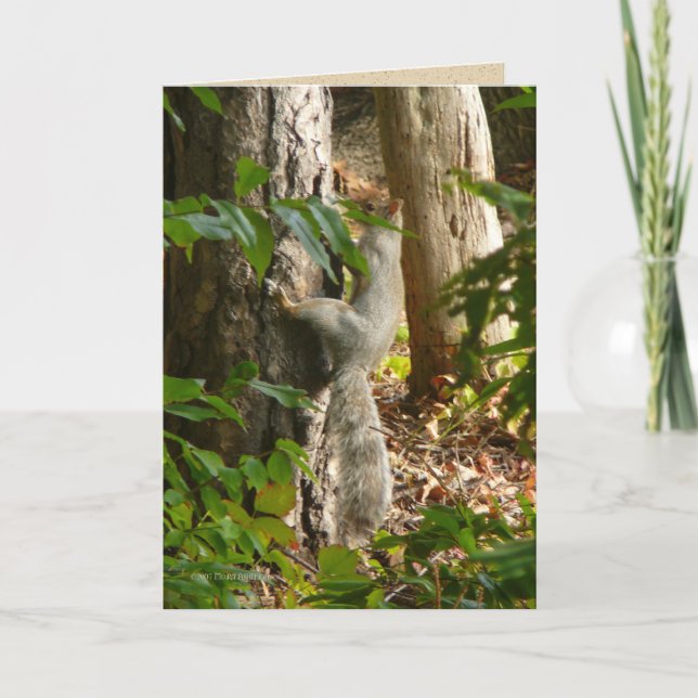 He bin ich Hydin Karte (Vorderseite)