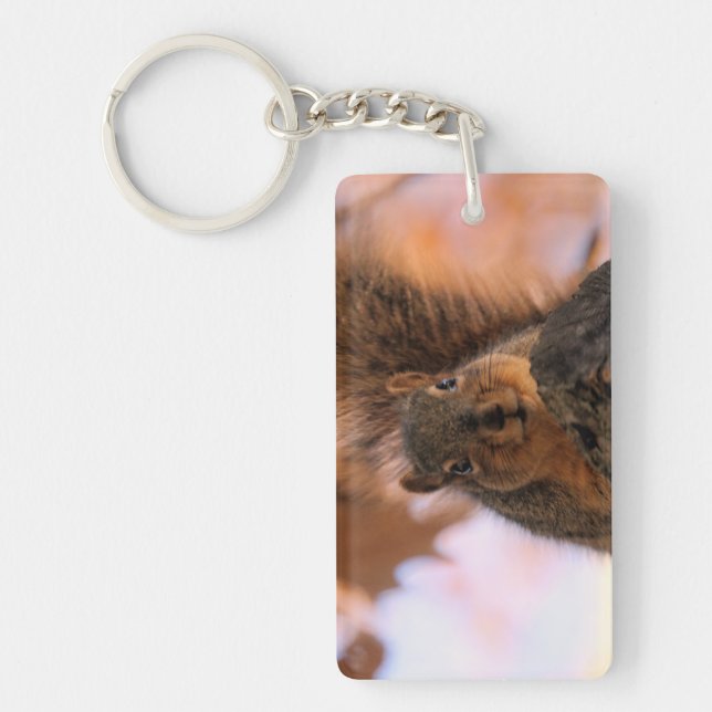 Hé, là (Devant)