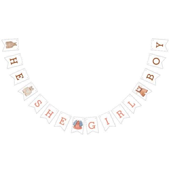 He She Girl Boy Gender Reveal Banner (Alle)