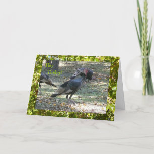 Hé Turquie ! Carte Pensant à Toi