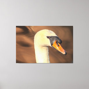 Head Mute Swan Portrait Leinwanddruck