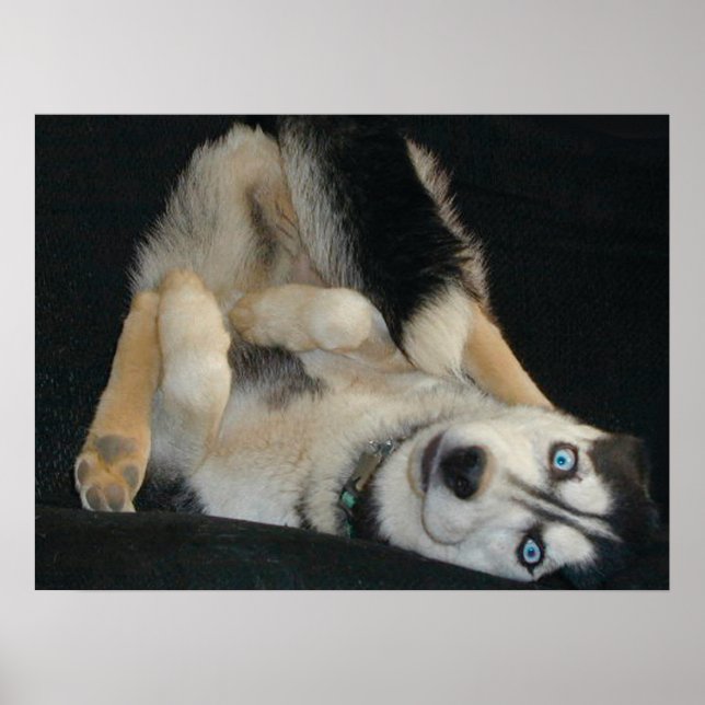 Head Over Heals Poster (Vorne)