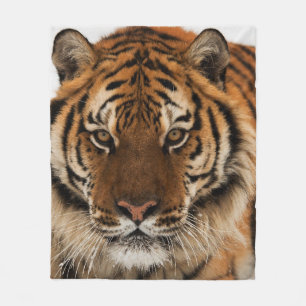 Head Shot of Sibirien Tiger Fleecedecke
