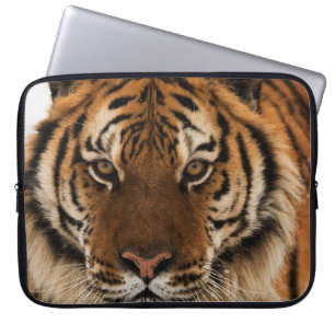 Head Shot of Sibirien Tiger Laptopschutzhülle