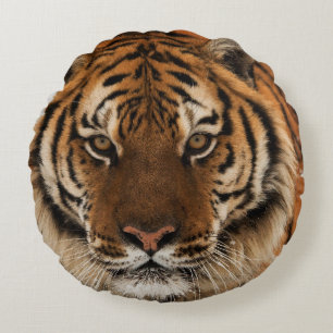 Head Shot of Sibirien Tiger Rundes Kissen