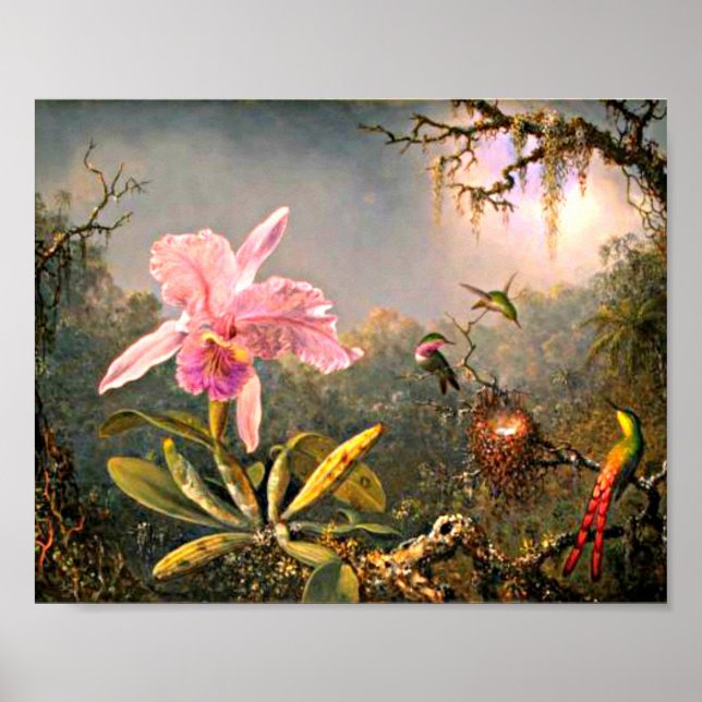 Heade - Cattleya Orchid und Three Hummingbirds Poster (Vorne)