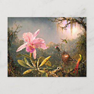 Heade - Cattleya-Orchidee und drei Kolibris Postkarte
