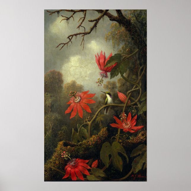 Heade - Hummingbird und Passion-Blume Poster (Vorne)