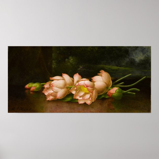 Heade - Lotus-Blume Poster (Vorne)