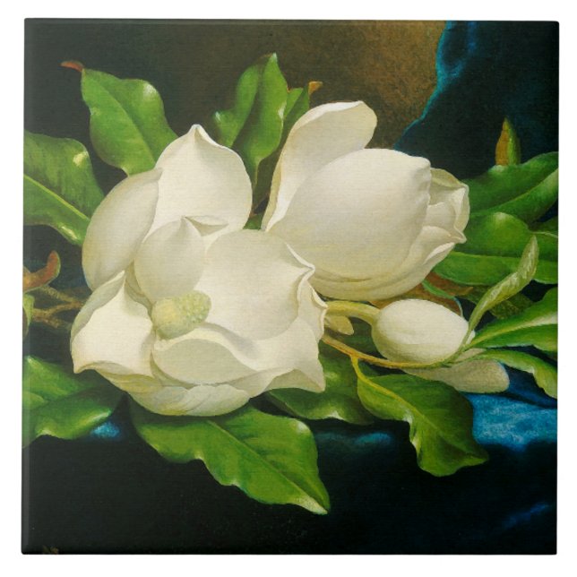 Heade Magnolia Blume Blüten Keramik Tile Fliese (Vorderseite)