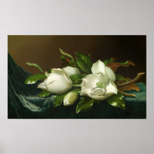 Heade - Magnolien auf hellblauem Samtstoff Poster