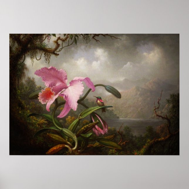 Heade - Orchid und Hummingbird Poster (Vorne)