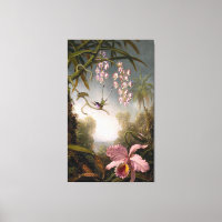 HEADE - Orchideen und Spray Orchideen mit Humminvö