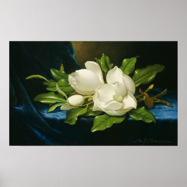 Heade - Riesenmagnolias auf einem blauen Samttuch Poster (Vorne)