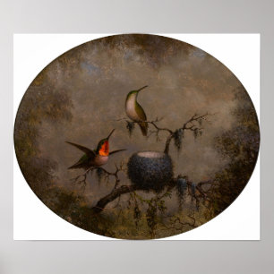 Heade - Vögel und ihr Nest 1863 Poster