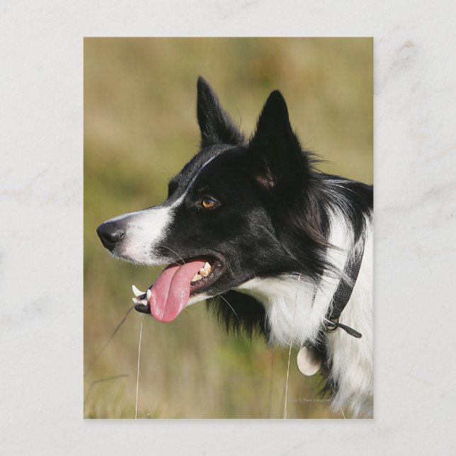 Headshot der Grenzflächendecke 2 Postkarte (Vorderseite)