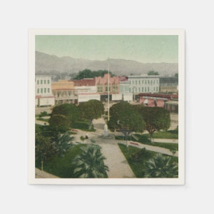 Healdsburg CA Plaza Postcard Serviette