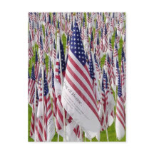 Healing Field