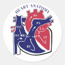 Heart Anatomy- Runder Aufkleber
